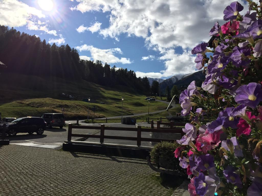 Al Bait Dali Marmota Livigno
