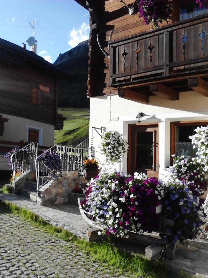 Apartment Al Bait Dali Marmota Livigno
